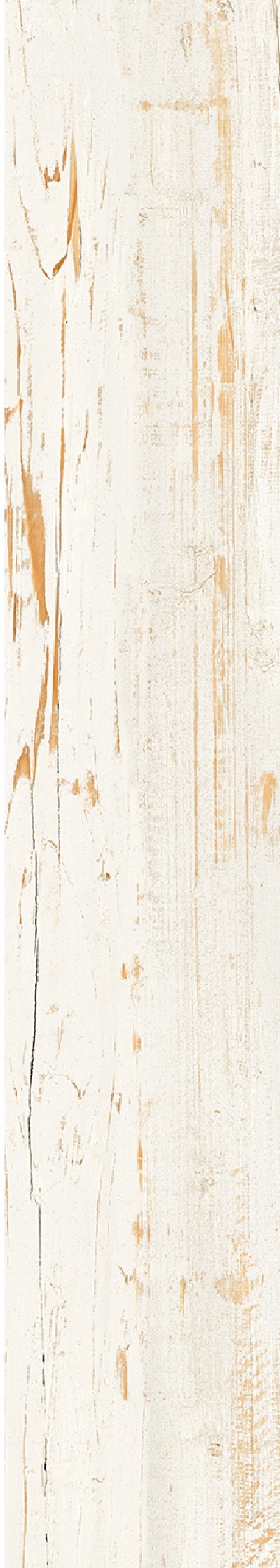  Provance White Carving