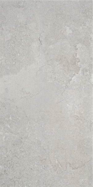  CAN5CRUIDD5A Cruise Grey Mt