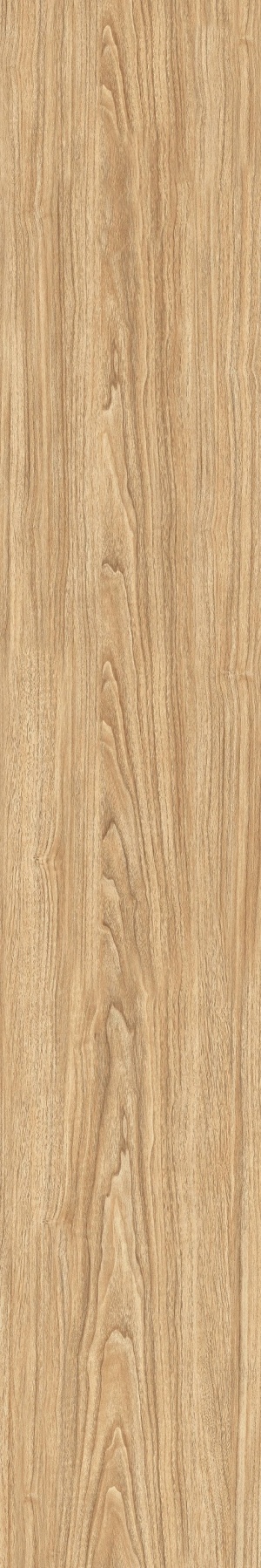  Beech Wood Shilo