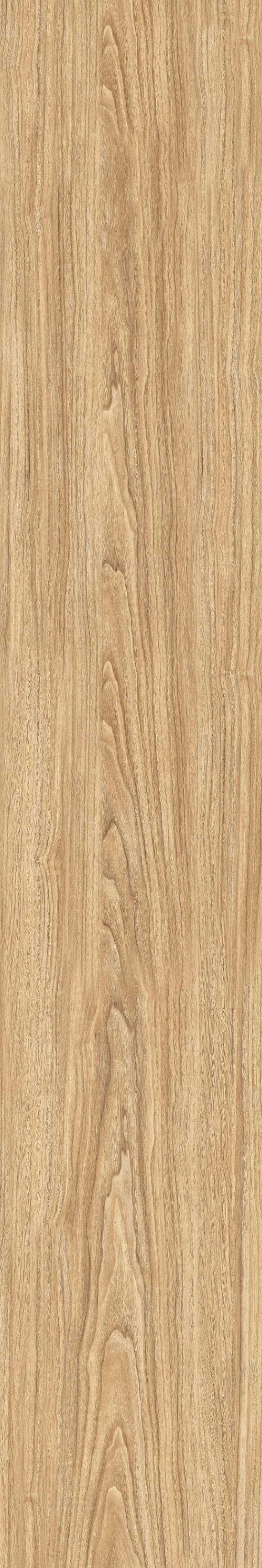  Beech Wood Shilo