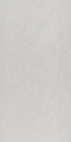  07-08532 Desert Silver