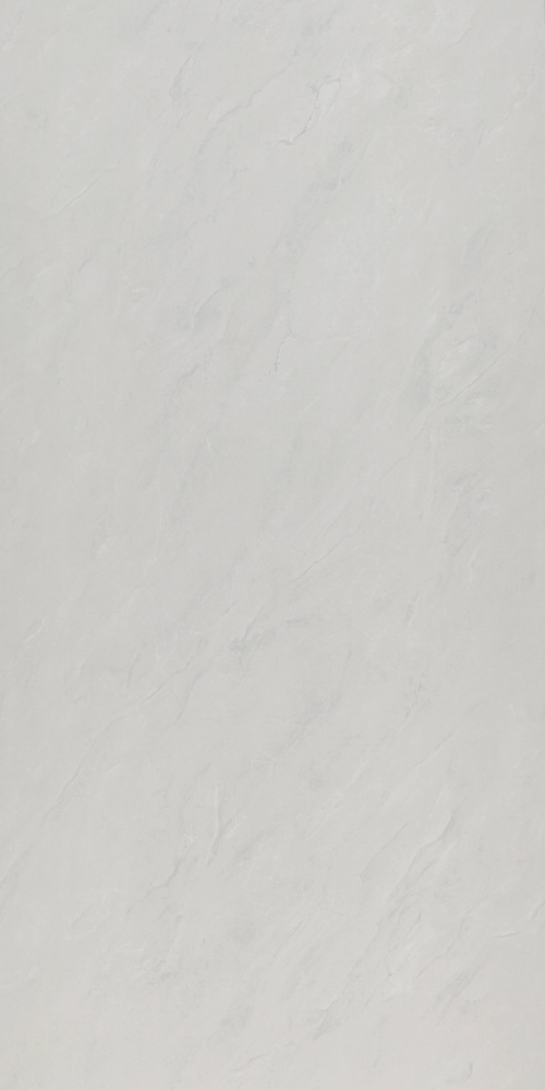  07-08532 Desert Silver