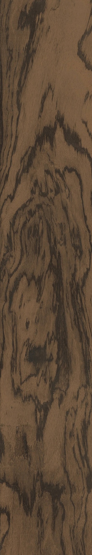  Tayrona Wood Carob