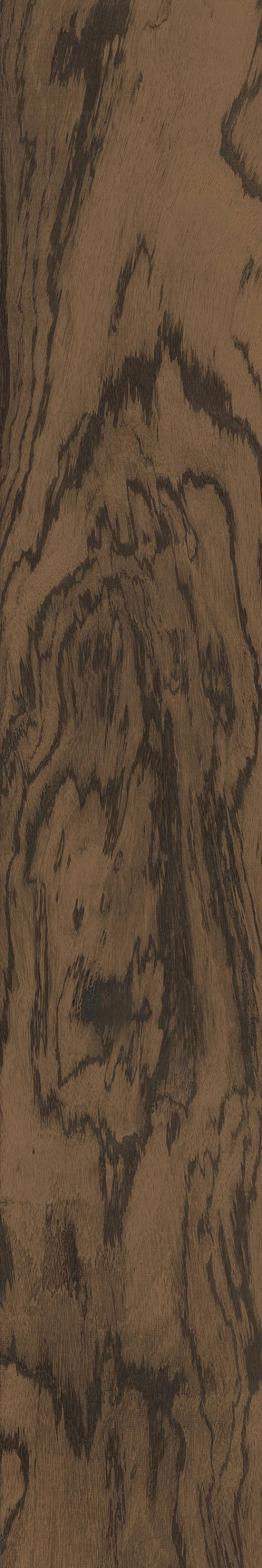  Tayrona Wood Carob