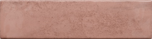  5900199257726 Masovia polvere C gloss STR