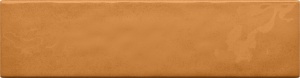  5900199263819 Masovia senape B gloss STR