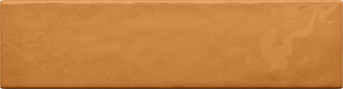  5900199263819 Masovia senape B gloss STR