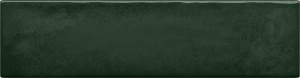  5900199257788 Masovia verde C gloss STR