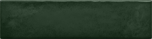  5900199257788 Masovia verde C gloss STR