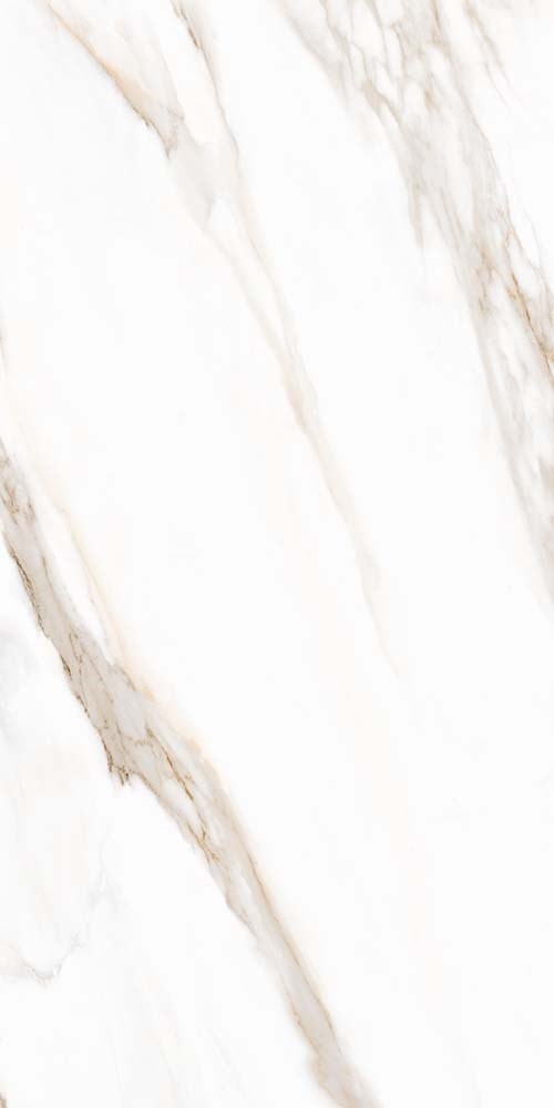  R63WMCA White Marble Calacatta Oro rett