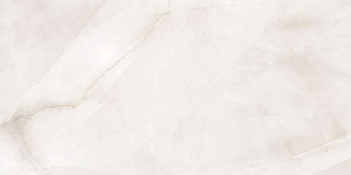 Pulpis Bone Polished