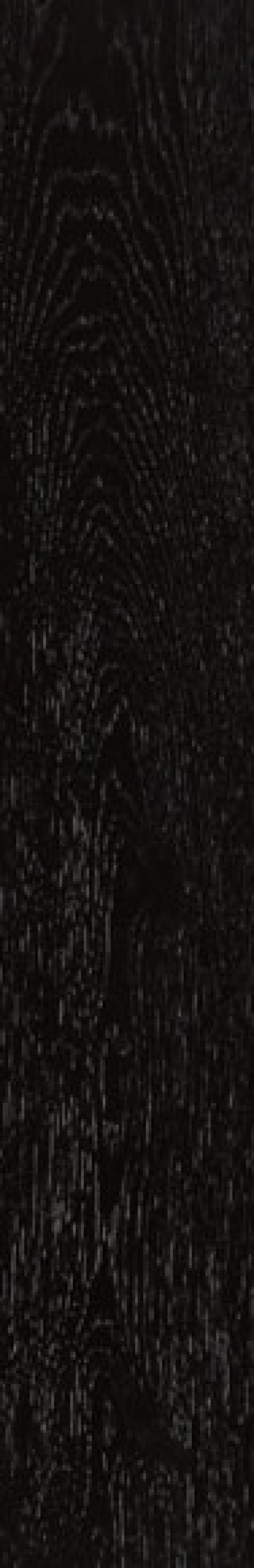  Arhus-CR Negro