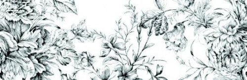  Frunce-4