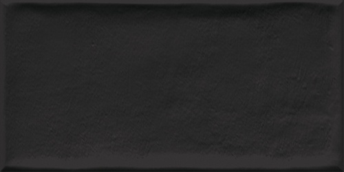  Etnia Negro