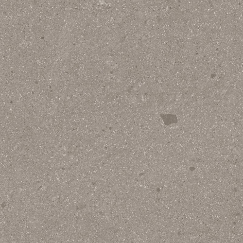  Gea-R AB|C Nuez
