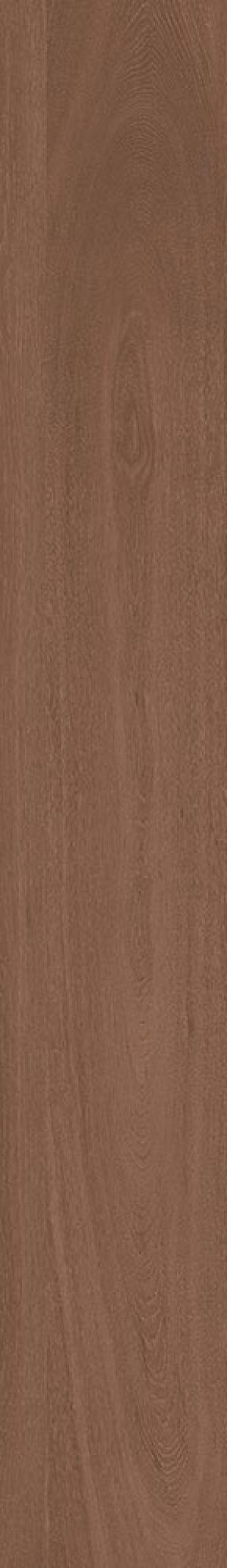  Lignum-R Bold R10