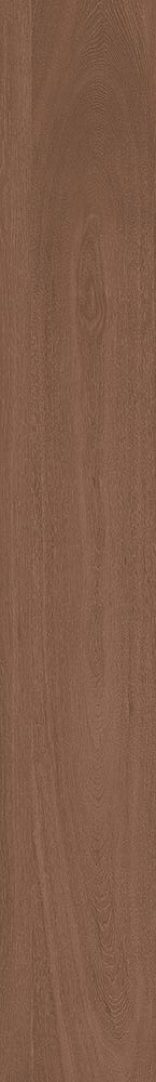  Lignum-R Bold R10