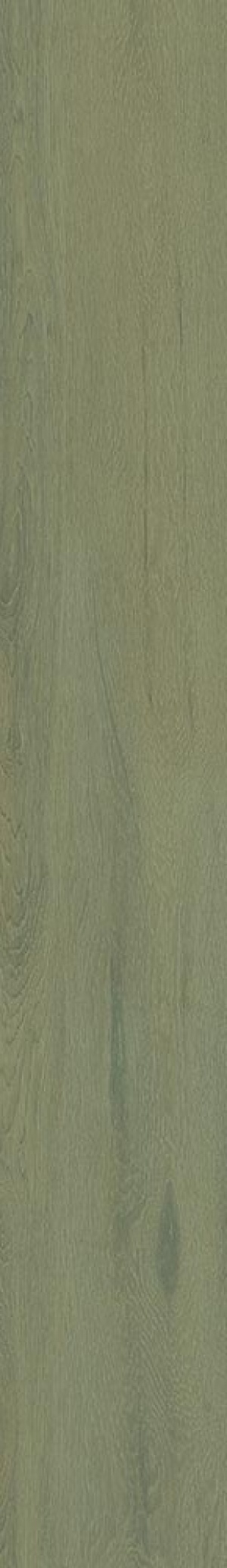  Lignum-R Green R10