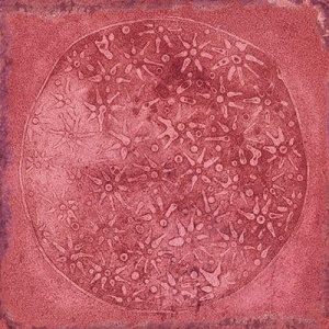  Carlo Granate-B