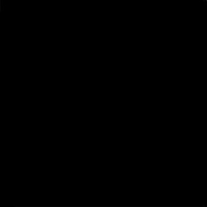 Negro