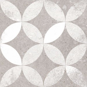  Kerala Gris