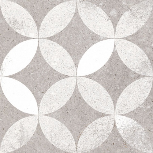  Kerala Gris