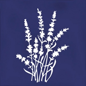  Arvum-4 Blue
