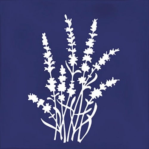  Arvum-4 Blue