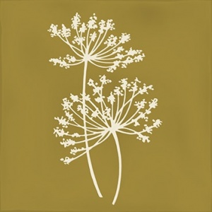  Arvum-4 Ocher