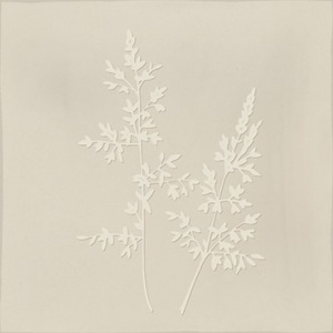  Arvum-4 Pearl