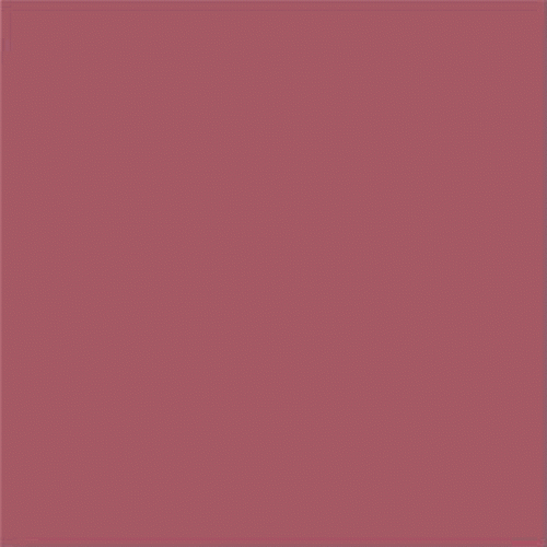  Fucsia Mate