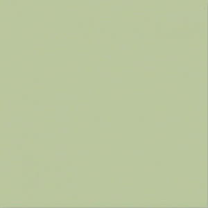  Verde Mate
