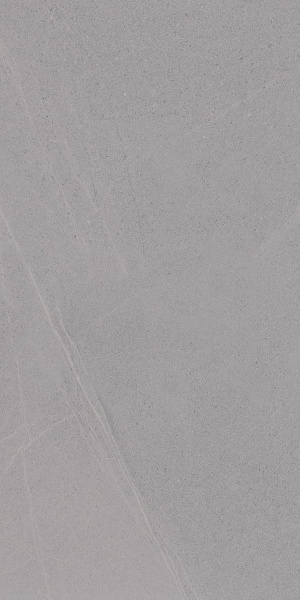  Seine-R Gris