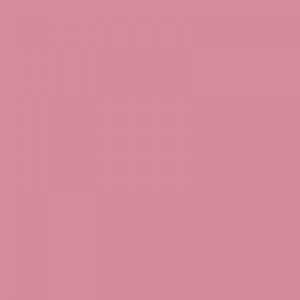  Taco Dome Pink