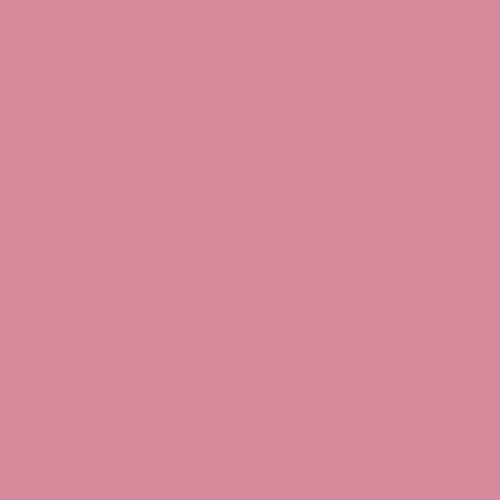  Taco Dome Pink