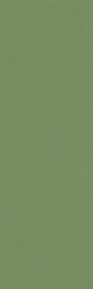  Zepto Verde