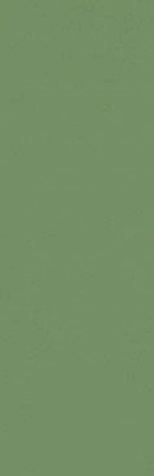  Zepto Verde
