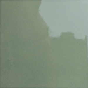  133017 Bits Square Kale Gloss