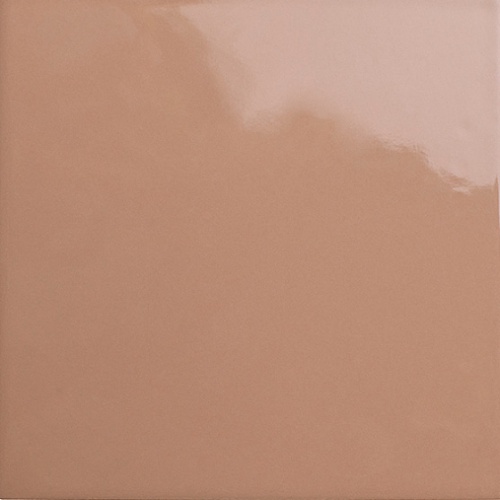  133020 Bits Square Cider Gloss
