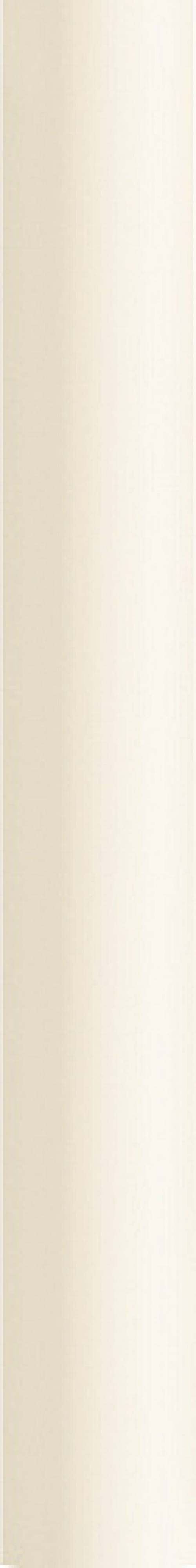  131483 Faces Dune Bone