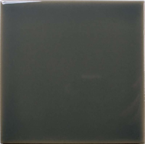  127925 Fayenza Square Ebony