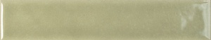  139381 Nouvelle Sage Gloss