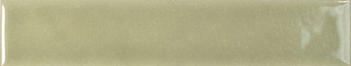  139381 Nouvelle Sage Gloss