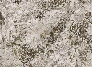  MN627BP271206 Frozen Fox Polished