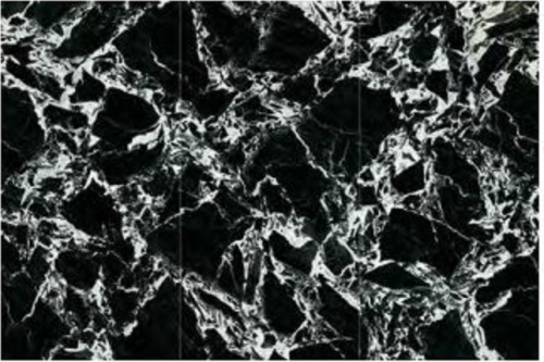  MN766CP321606 Napoleon Black Polished