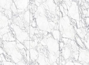  MN019AP271206 Statuario White Polished